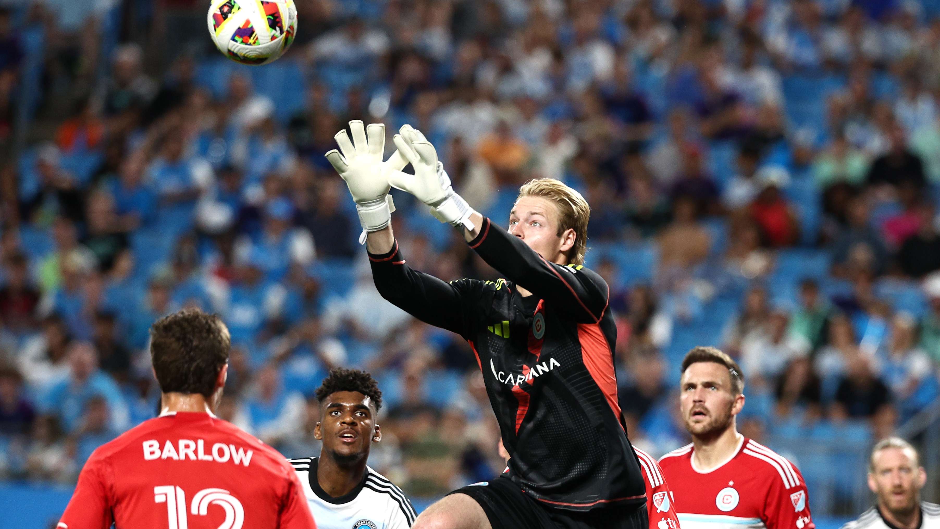 包括語言上 包括語言上